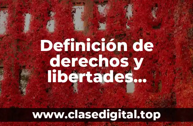 Definición de derechos y libertades fundamentales