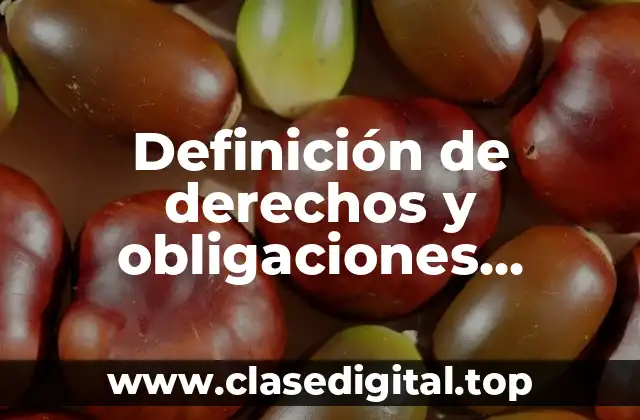 Definición de derechos y obligaciones constitucionales