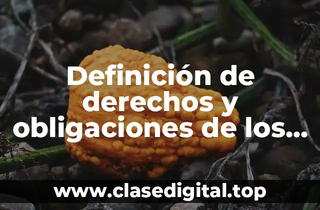 Definición de derechos y obligaciones de los adolescentes