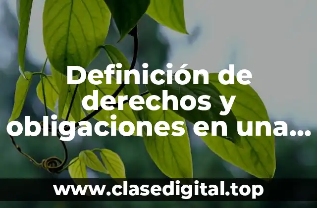 Definición de derechos y obligaciones en una compraventa mercantil monográficas