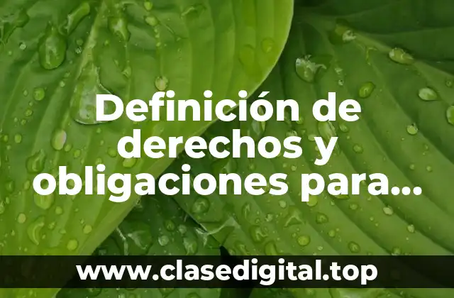 Definición de derechos y obligaciones para efectos fiscales