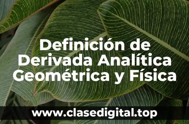 Definición de Derivada Analítica Geométrica y Física