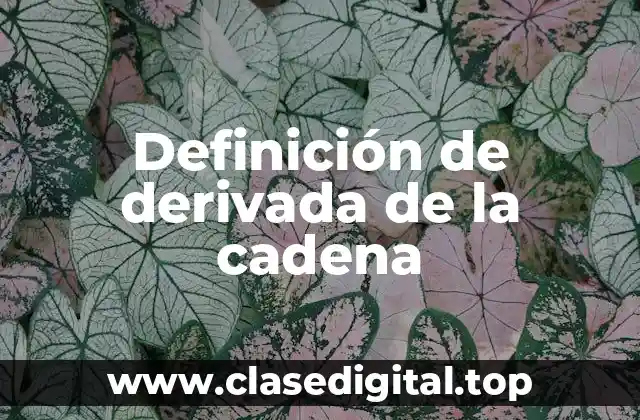 Definición de derivada de la cadena