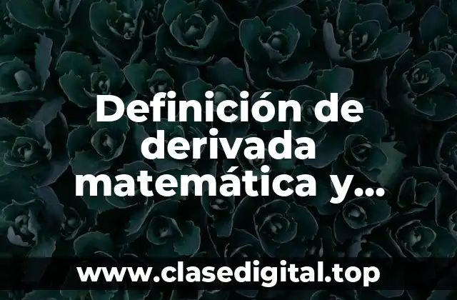 Definición de derivada matemática y físicamente