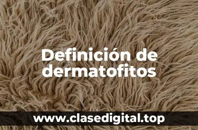 Definición técnica de dermatofitos