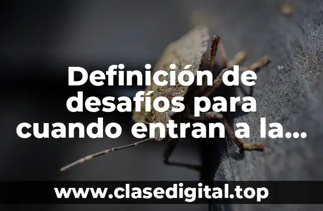 Definición de desafíos para cuando entran a la secundaria