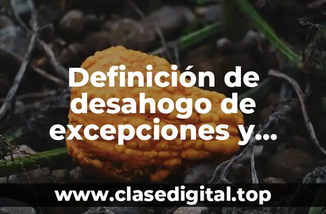 Definición de desahogo de excepciones y defensas en materia familiar