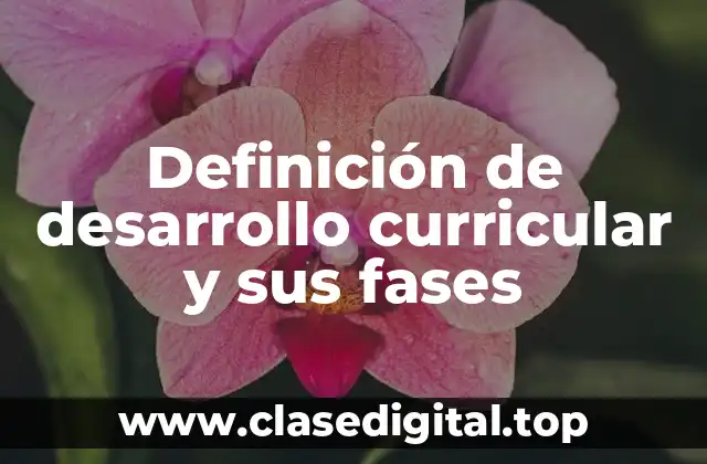 Definición de desarrollo curricular y sus fases