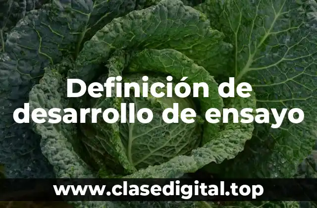 Definición de desarrollo de ensayo