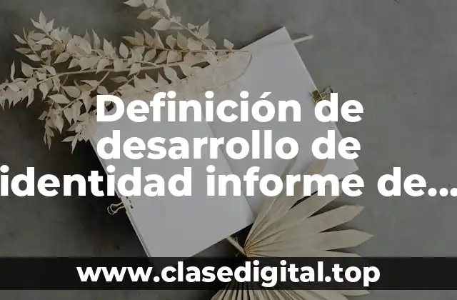 Definición de desarrollo de identidad informe de gobierno