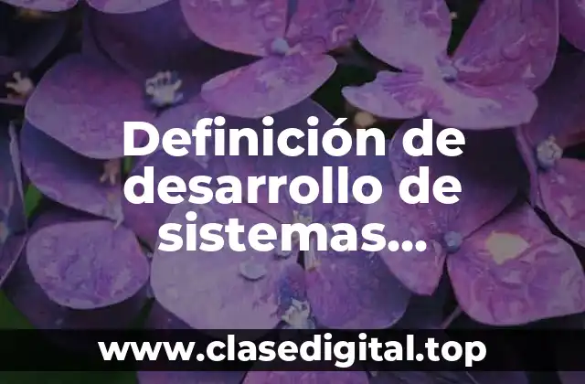 Definición de desarrollo de sistemas informáticos