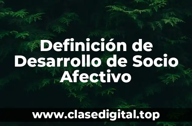 Definición de Desarrollo de Socio Afectivo