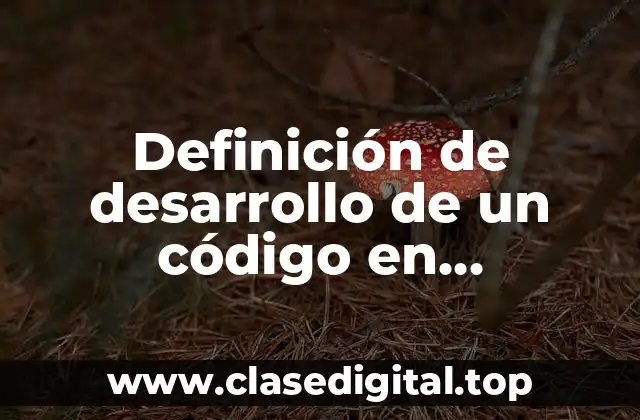 Definición de desarrollo de un código en programación