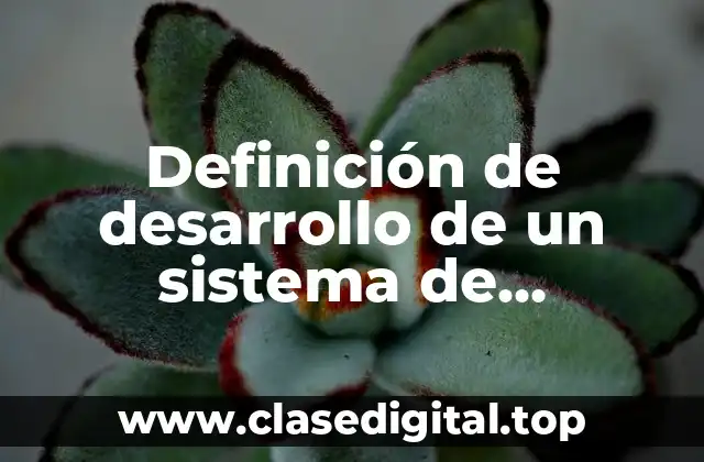 Definición de desarrollo de un sistema de información