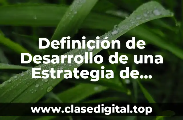 Definición de Desarrollo de una Estrategia de Trabajo
