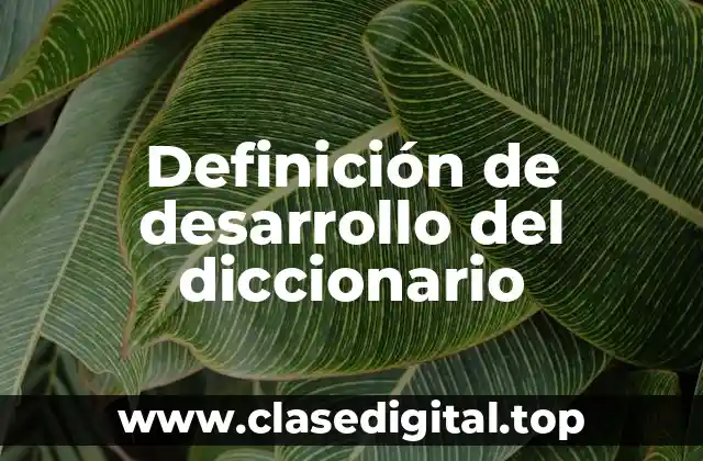 Definición de desarrollo del diccionario