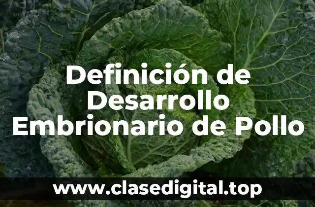 Definición de Desarrollo Embrionario de Pollo