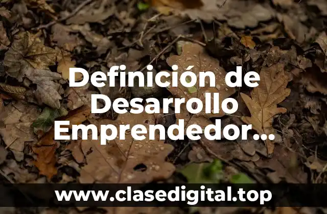 Definición técnica de Desarrollo Emprendedor