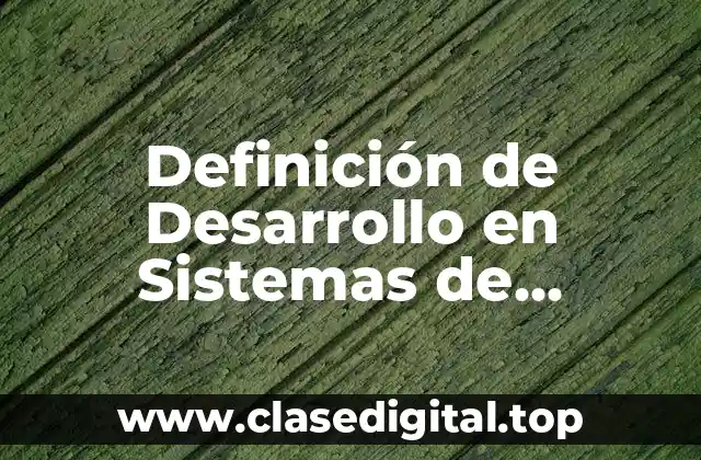 Definición de Desarrollo en Sistemas de Información