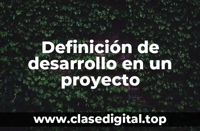 Definición de desarrollo en un proyecto
