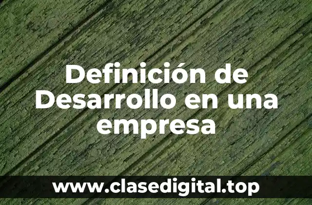 Definición de Desarrollo en una empresa