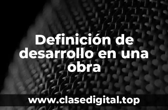 Definición técnica de desarrollo en una obra