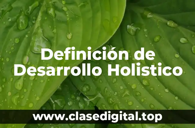 Definición de Desarrollo Holistico