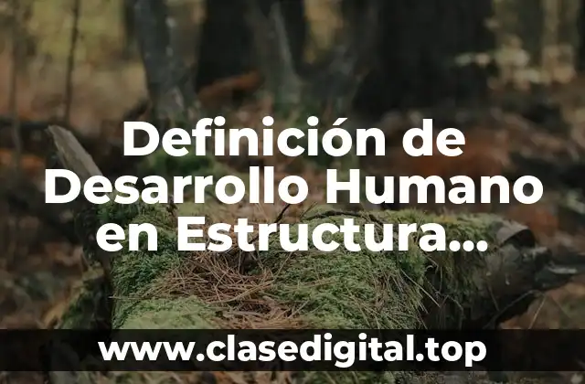 Definición de Desarrollo Humano en Estructura Socioeconómica