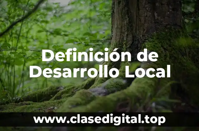 Definición Técnica de Desarrollo Local