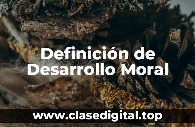 Definición de Desarrollo Moral