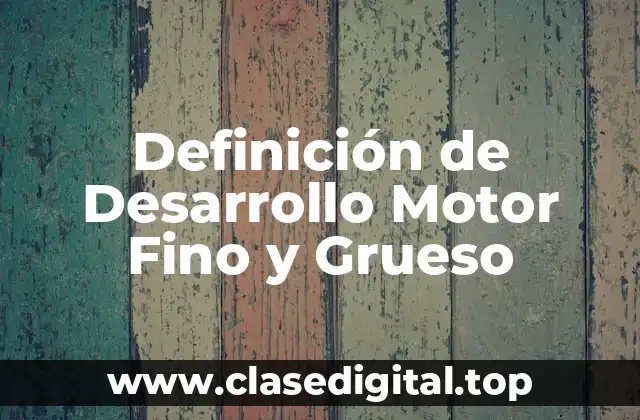Ejemplos de Desarrollo Motor Fino y Grueso