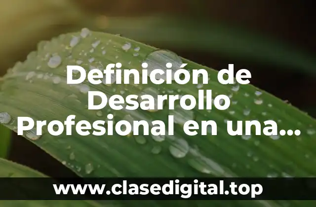 Definición de Desarrollo Profesional en una Empresa