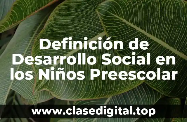Definición de Desarrollo Social en los Niños Preescolar