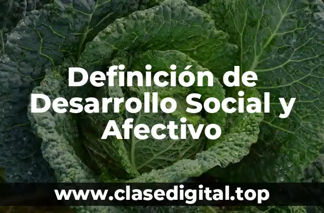 Definición de Desarrollo Social y Afectivo