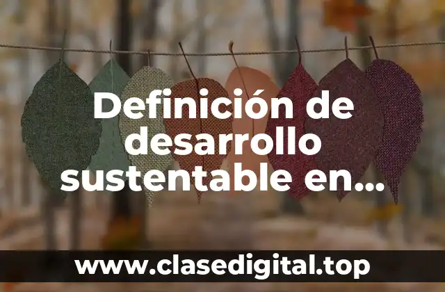 Definición de desarrollo sustentable en Puebla