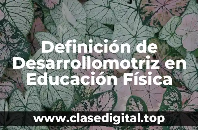Definición de Desarrollomotriz en Educación Física
