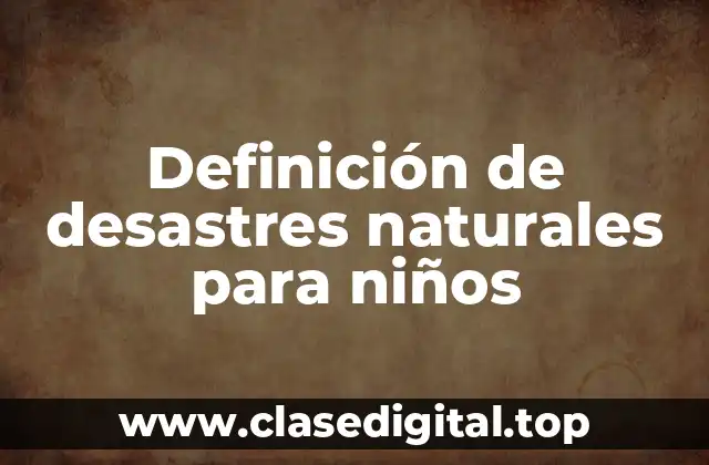 Definición técnica de desastre natural