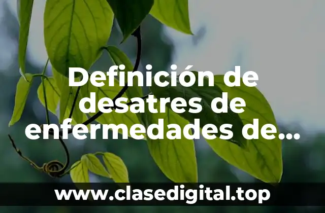 Definición de desatres de enfermedades de transmisión sexual