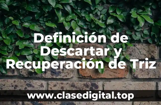Definición de Descartar y Recuperación de Triz