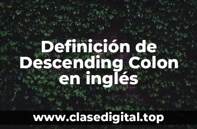 Definición de Descending Colon en inglés