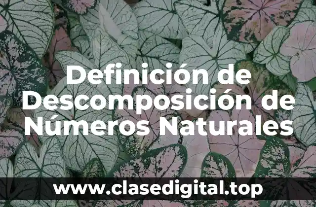 Definición de Descomposición de Números Naturales