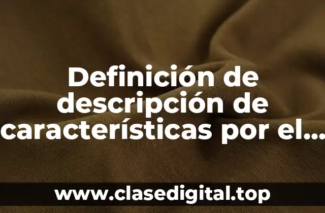 Definición de descripción de características por el método mixto