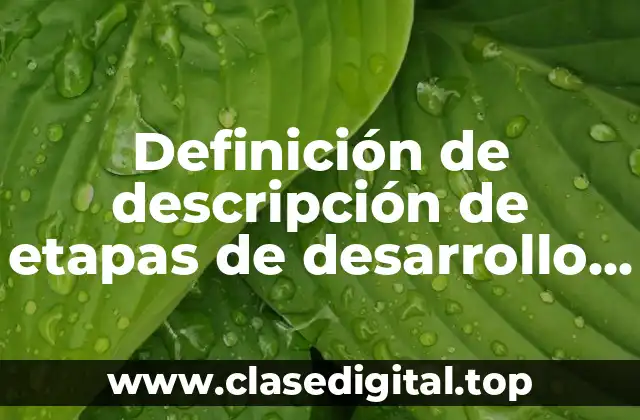 Definición de descripción de etapas de desarrollo de software