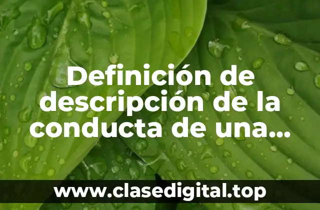 Ejemplos de descripción de la conducta de una persona