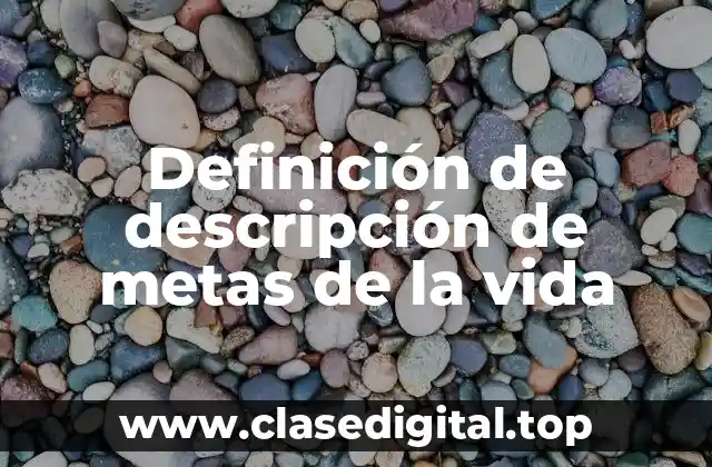 Ejemplos de descripciones de metas de la vida