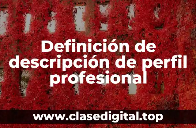 Definición de descripción de perfil profesional