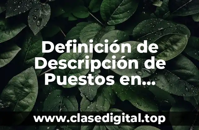 Definición técnica de descripción de puestos