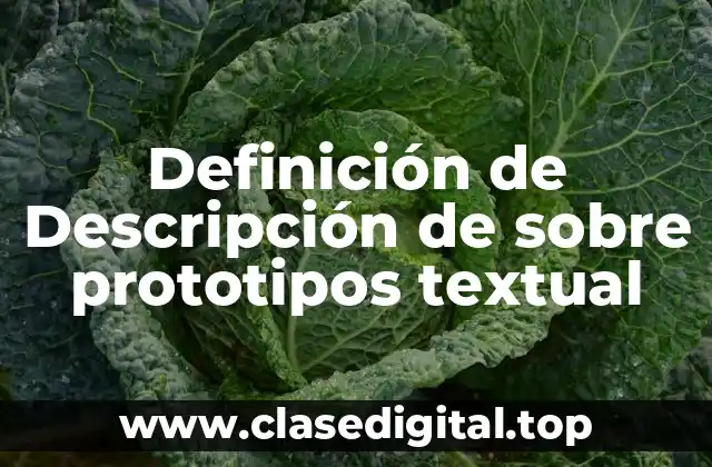 Definición de Descripción de sobre prototipos textual