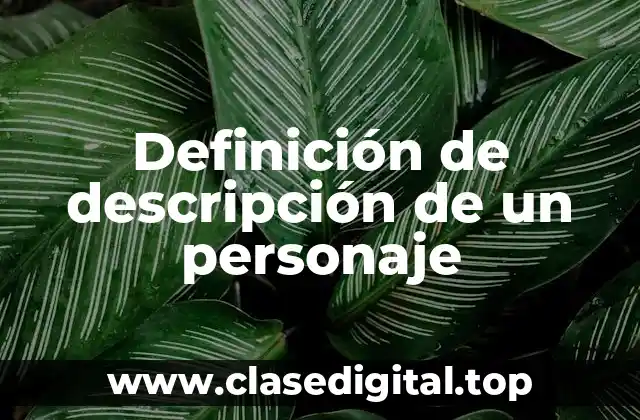 Definición de descripción de un personaje