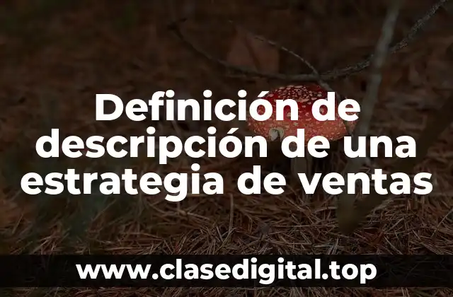 Definición de descripción de una estrategia de ventas